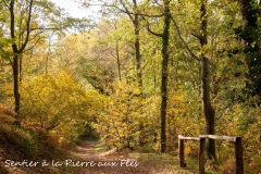 Sentier de la Pierre aux fées - Champ Saint Père